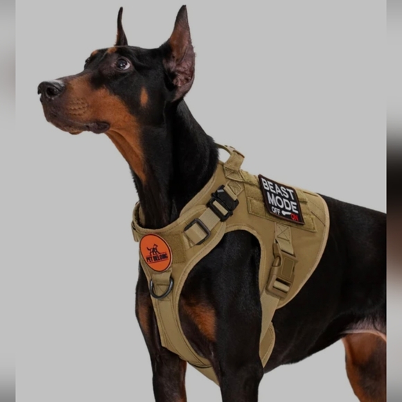 pet belong Dog Dog Harness Poshmark